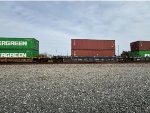 DTTX 888813